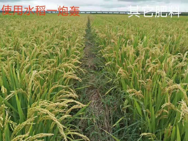 &#38886;&#24503;&#32593;&#31449;&#45;&#40;&#20013;&#22269;&#41;&#26377;&#38480;&#36131;&#20219;&#38886;&#24503;&#32593;&#31449;
